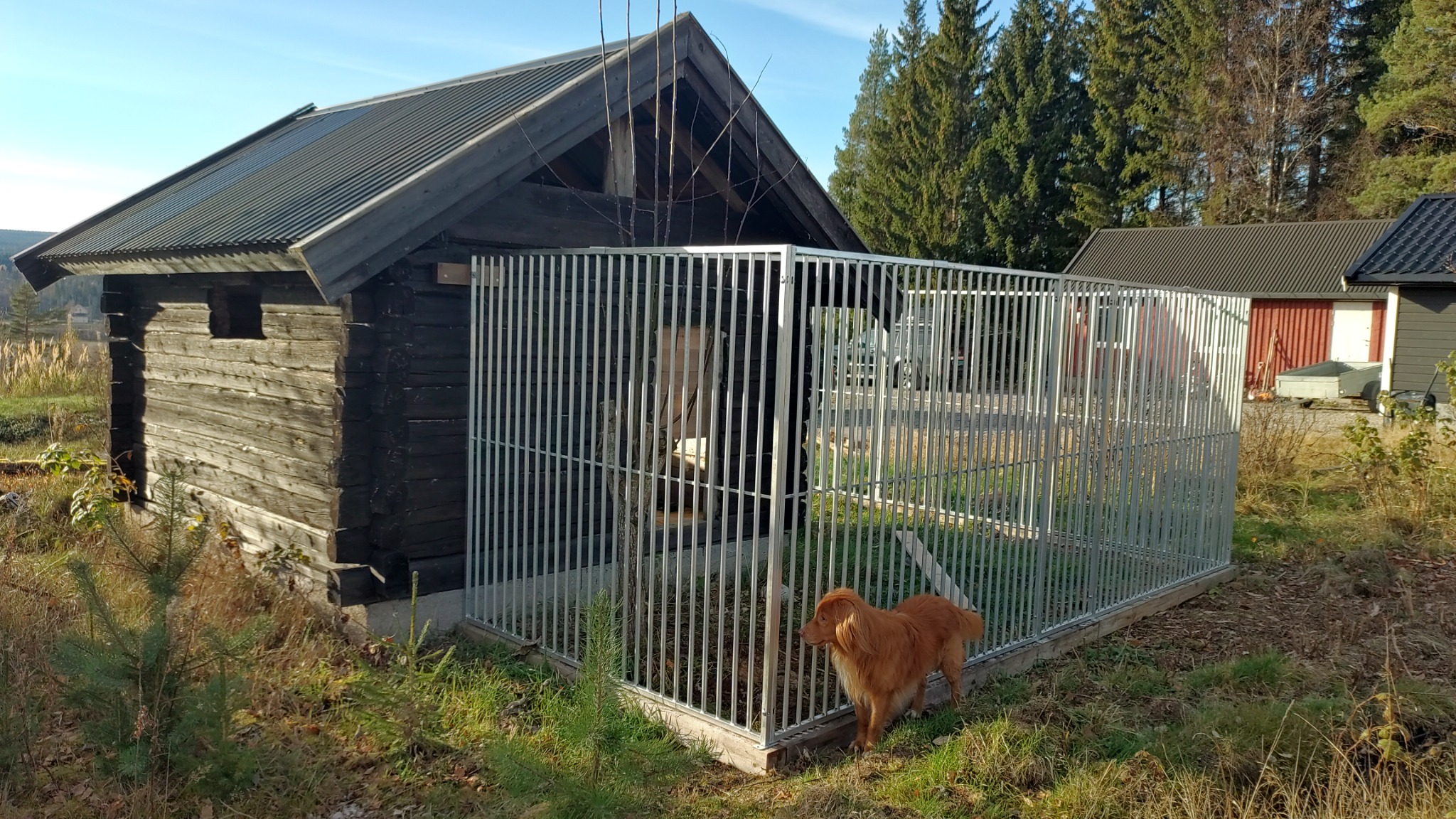 Kundens Femunden Spil hundegård ved en tømmerhytte, med hunden ved inngangen